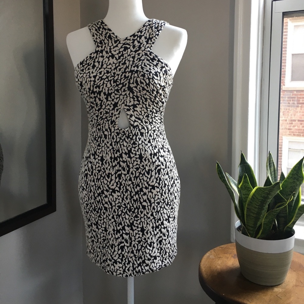 Lush Mini Dress